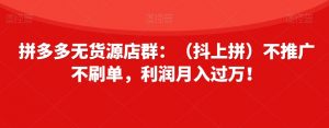 拼多多无货源店群:(抖上拼)不推广不刷单,利润月入过万!【揭秘】-52资源库