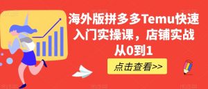 海外版拼多多Temu快速入门实操课,店铺实战从0到1-52资源库