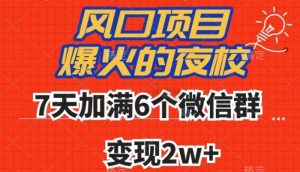 全网首发,爆火的夜校,7天加满6个微信群,变现2w+【揭秘】-52资源库