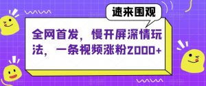 全网首发,慢开屏深情玩法,一条视频涨粉2000+【揭秘】-52资源库