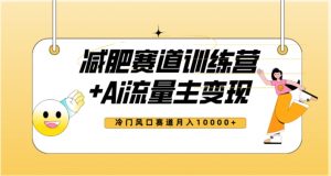 全新减肥赛道AI流量主+训练营变现玩法教程,蓝海冷门赛道小白轻松上手,月入10000+-52资源库