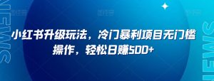 小红书升级玩法,冷门暴利项目无门槛操作,轻松日赚500+【揭秘】-52资源库