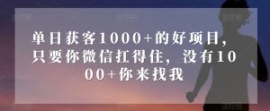 单日获客1000+的好项目,只要你微信扛得住,没有1000+你来找我【揭秘】-52资源库