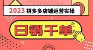 2023拼多多运营实操,每天30分钟日销1000+,爆款选品技巧大全(10节课)-52资源库