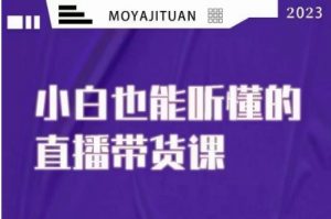大威本威·能听懂的直播带货课,小白也能听懂,20节完整-52资源库