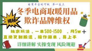 利用电商平台冬季销售取暖用品欺诈行为合理制裁店铺,单日入900+【仅揭秘】-52资源库