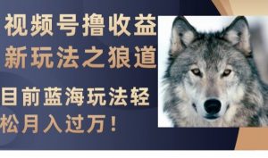 视频号撸收益新玩法之狼道,目前蓝海玩法,轻松月入过万【揭秘】-52资源库