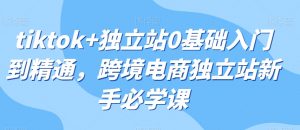 tiktok+独立站0基础入门到精通,跨境电商独立站新手必学课-52资源库