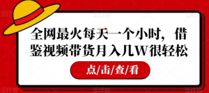 全网最火每天一个小时,借鉴视频带货月入几W很轻松【揭秘】-52资源库