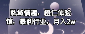 私域情趣,橙仁体验馆,暴利行业,月入2w【揭秘】-52资源库