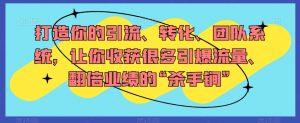 打造你的引流、转化、团队系统,让你收获很多引爆流量、翻倍业绩的“杀手锏”-52资源库