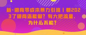 新·微商零成本暴力引流丨都2023了微商还能做?有大把流量,为什么不能?-52资源库