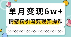 单月变现6W+,抖音情感粉引流变现实操课,小白可做,轻松上手,独家赛道【揭秘】-52资源库