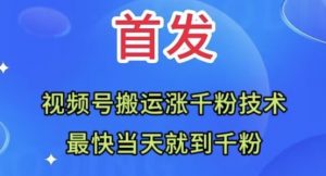 全网首发:视频号无脑搬运涨千粉技术,最快当天到千粉【揭秘】-52资源库