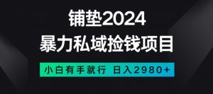 暴力私域捡钱项目,小白无脑操作,日入2980【揭秘】-52资源库