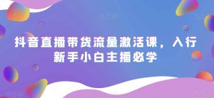 抖音直播带货流量激活课,入行新手小白主播必学-52资源库