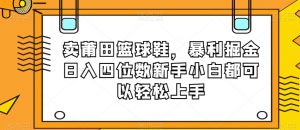 卖莆田篮球鞋,暴利掘金日入四位数新手小白都可以轻松上手【揭秘】-52资源库
