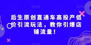 后生原创直通车高投产低价引流玩法,教你引爆店铺流量!-52资源库