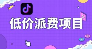 抖音低价派单项目,0门槛,日入1000+很轻松,小白可操作【揭秘】-52资源库
