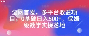 全网首发,多平台收益项目,0基础日入500+,保姆级教学实操落地【揭秘】-52资源库
