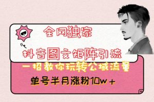 全网独家抖音图文矩阵引流,一招教你玩转公域流量,单号半月涨粉10w+【揭秘】-52资源库