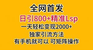 全网首发!日引800+精准老色批,一天变现2000+,独家引流方法,可矩阵操作【揭秘】-52资源库