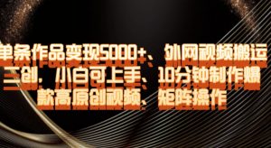 单条作品变现5000+、外网视频搬运二创,小白可上手,10分钟制作爆款高原创视频,矩阵操作【揭秘】-52资源库
