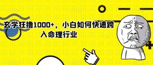 玄学狂撸1000+,小白如何快速跨入命理行业【揭秘】-52资源库