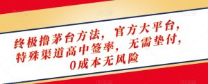 终极撸茅台方法,官方大平台,特殊渠道高中签率,无需垫付,0成本无风险【揭秘】-52资源库
