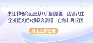 小红书电商运营从入门到精通,店铺入住全流程文档+爆款文案词,自有非凡收获-52资源库