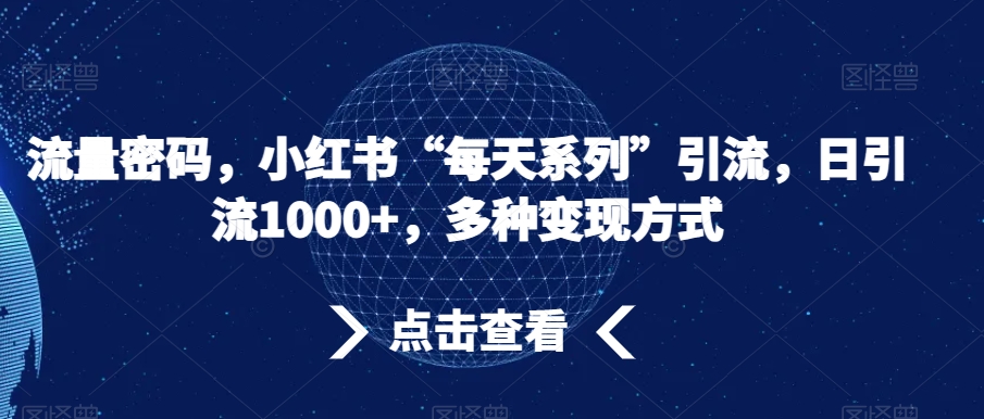 流量密码，小红书“每天系列”引流，日引流1000+，多种变现方式【揭秘】-52资源库