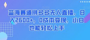 蓝海赛道拼多多无人直播,日入2600+,0成本变现,小白也能轻松上手【揭秘】-52资源库