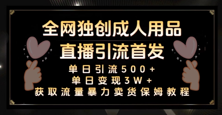 全网独创真人主播+无人直播单日引流500+，橙人用品暴力卖货单日变现3W+保姆似教学2.0【揭秘】-52资源库