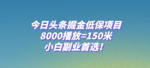 今日头条掘金低保项目,8000播放=150米,小白副业首选【揭秘】-52资源库
