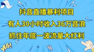 抖音直播暴利项目,有人30小时收入36万音浪,公司宣传片年会视频制作,抓住年底一波流量大红利【揭秘】-52资源库