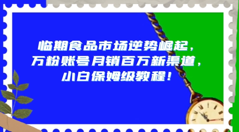 临期食品市场逆势崛起，万粉账号月销百万新渠道，小白保姆级教程【揭秘】-52资源库