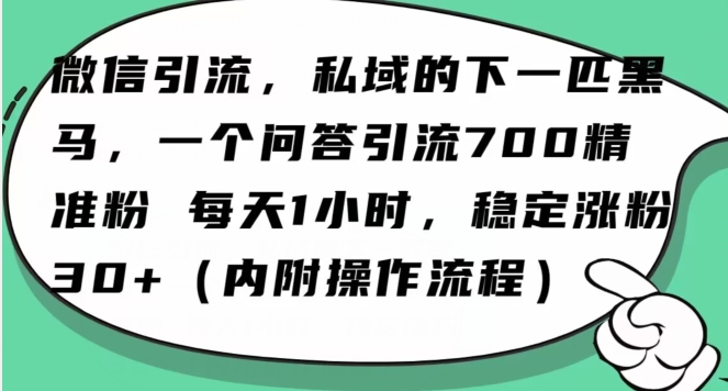 怎么搞精准创业粉？微信新赛道，每天一小时，利用Ai一个问答日引100精准粉-52资源库
