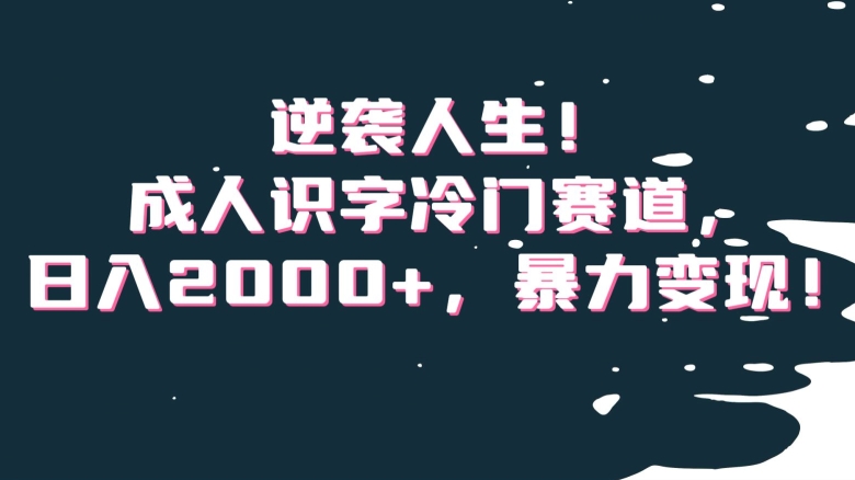 逆袭人生！成人识字冷门赛道，日入2000+，暴力变现！【揭秘】-52资源库