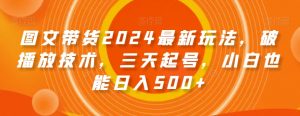 图文带货2024最新玩法,破播放技术,三天起号,小白也能日入500+【揭秘】-52资源库