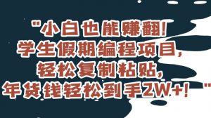小白也能赚翻!学生假期编程项目,轻松复制粘贴,年货钱轻松到手2W+【揭秘】-52资源库