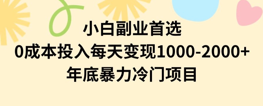 小白副业首选，0成本投入，每天变现1000-2000年底暴力冷门项目【揭秘】-52资源库