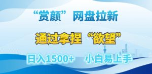 “赏颜”网盘拉新赛道,通过拿捏“欲望”日入1500+,小白易上手【揭秘】-52资源库