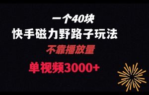 一个40块,快手联合美团磁力新玩法,无视机制野路子玩法,单视频收益4位数【揭秘】-52资源库