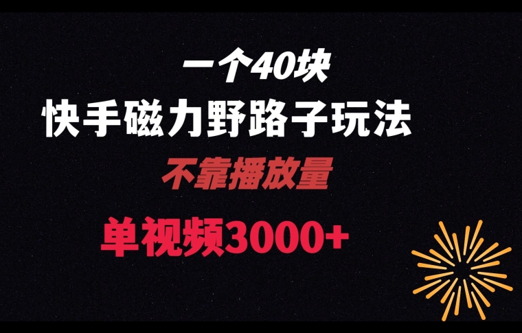 一个40块，快手联合美团磁力新玩法，无视机制野路子玩法，单视频收益4位数【揭秘】-52资源库