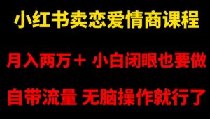 小红书卖恋爱情商课程,月入两万+,小白闭眼也要做,自带流量,无脑操作就行了【揭秘】-52资源库