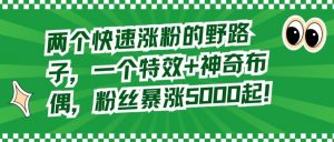 两个快速涨粉的野路子,一个特效+神奇布偶,粉丝暴涨5000起【揭秘】-52资源库