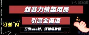 最新情趣项目引流全渠道,自带高流量,保姆级教程,轻松破百单,日引500+粉【揭秘】-52资源库
