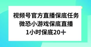 视频号直播任务,微恐小游戏,1小时20+【揭秘】-52资源库