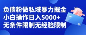 负债粉私域暴力掘金,小白操作入5000,无经验限制,无条件限制【揭秘】-52资源库