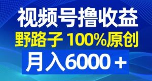 视频号野路子撸收益,100%原创,条条爆款,月入6000+【揭秘】-52资源库